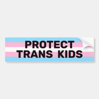 Adesivo Para Carro Proteger Crianças Trans | Pavilhão Trans