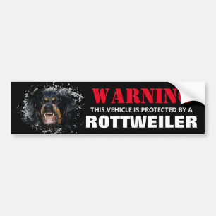 Adesivo Para Carro Protegido por um Rottweiler