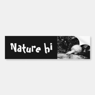 Adesivo Para Carro protetor escuro