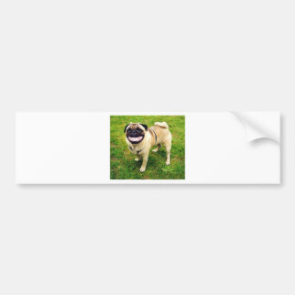 Adesivo Para Carro pug do sorriso do cão bonito