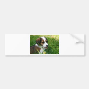 Adesivo Para Carro Puppy