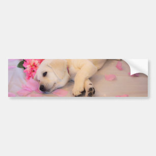 Adesivo Para Carro Puppy Sleep Flor 01