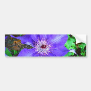 Adesivo Para Carro Purple Clematis Flower