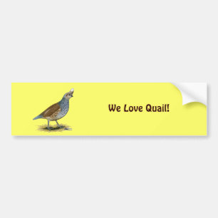 Adesivo Para Carro Quail escalável