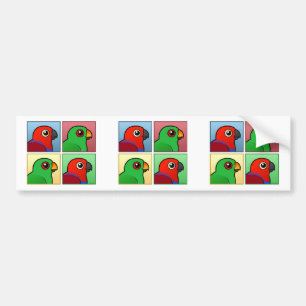 Adesivo Para Carro Quatro cor Eclectus