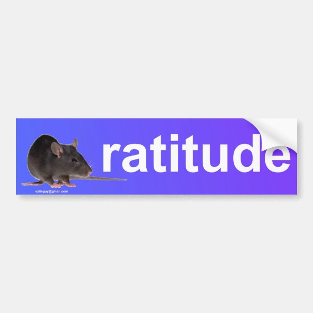 Adesivo Para Carro ratitude (Frente)