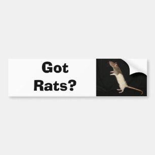Adesivo Para Carro Ratos obtidos? , Obtido ratos?