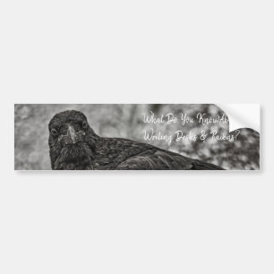 Adesivo Para Carro Raven P9239