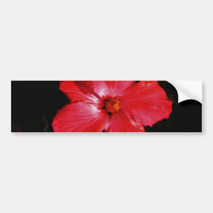 Adesivo Para Carro Red Hibiscus