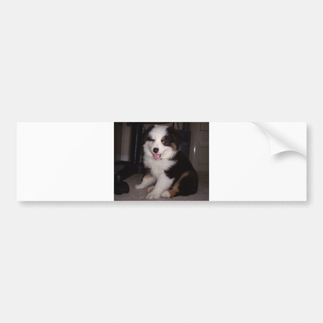 Adesivo Para Carro red tri Puppy mini aussie (Frente)
