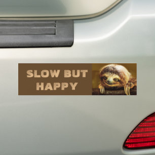Adesivo Para Carro Retarde mas preguiça feliz