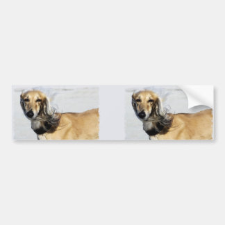 Adesivo Para Carro Retrato de Saluki