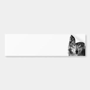 Adesivo Para Carro Retrato do Lobo Negro e Branco