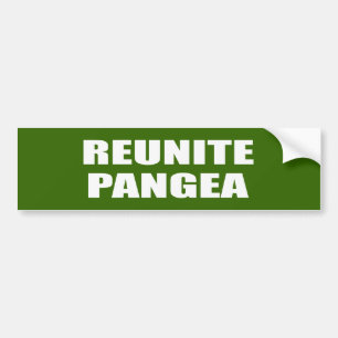 ADESIVO PARA CARRO REUNA PANGEA