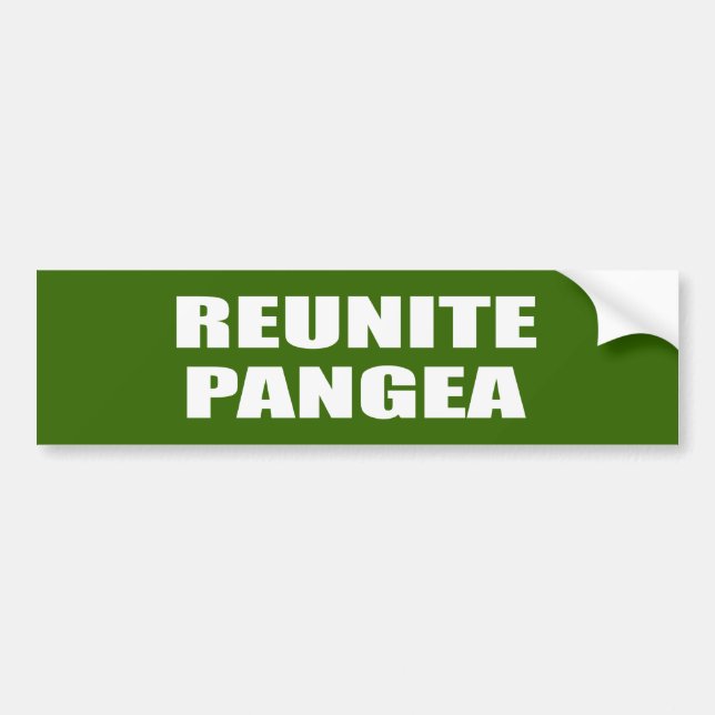 ADESIVO PARA CARRO REUNA PANGEA (Frente)