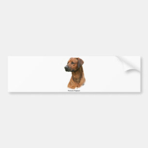 Adesivo Para Carro Rhodesian Ridgeback