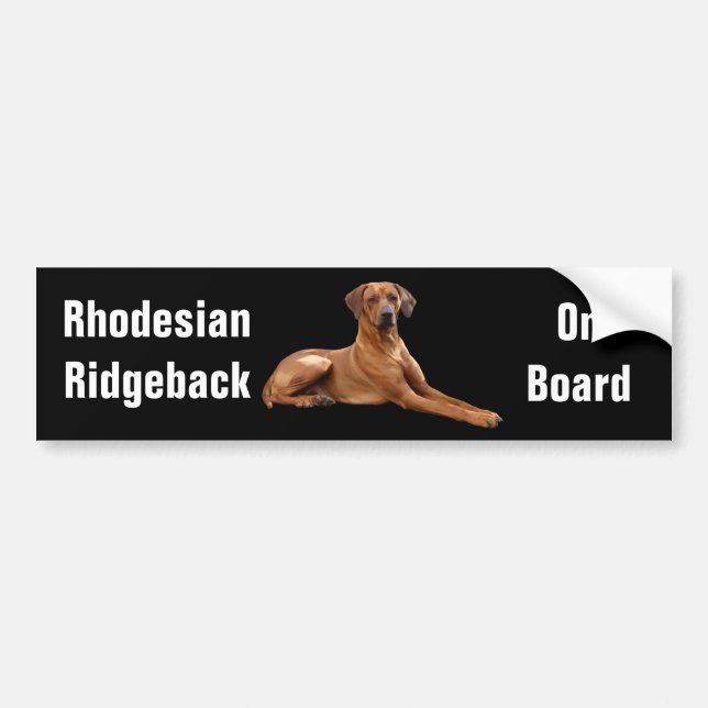 Adesivo Para Carro Rhodesian Ridgeback bumpersticker (Frente)