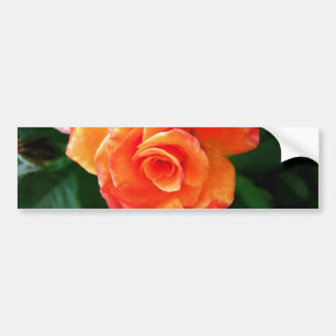 Adesivo Para Carro Rosa laranja