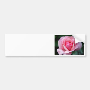 Adesivo Para Carro Rosa Rosa Rosa