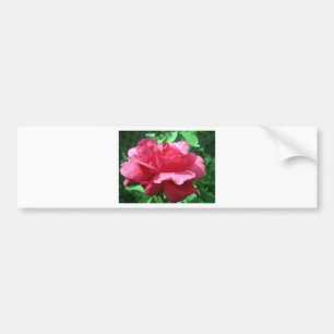 Adesivo Para Carro Rosa vermelha