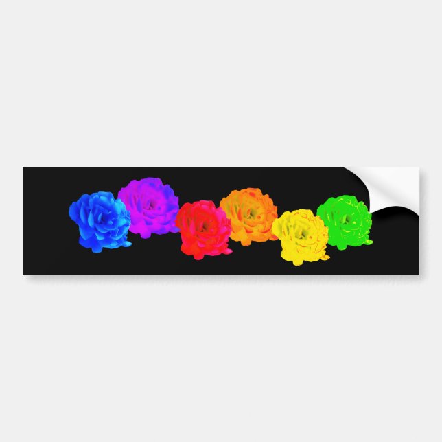 Adesivo Para Carro Rosas arco-íris (Frente)