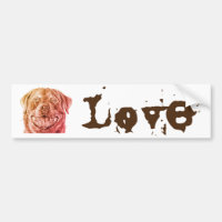 Rott Love