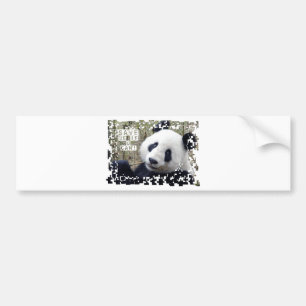 Adesivo Para Carro Salvar a panda gigante