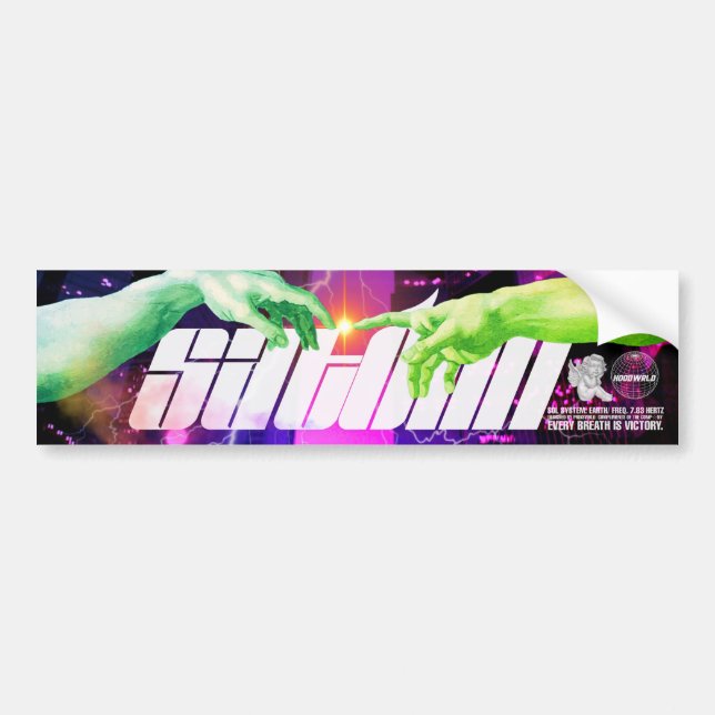 Adesivo Para Carro satomi motorsport "Contato de segundo" (Frente)