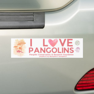 Adesivo Para Carro SAVE PANGOLINS Edição especial Bumper Sticker