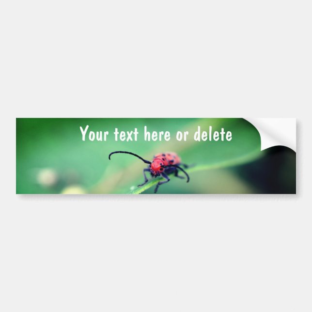 Adesivo Para Carro Scary Red Spotted Beetle Nature Personalized (Frente)