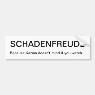 ADESIVO PARA CARRO SCHADENFREUDE
