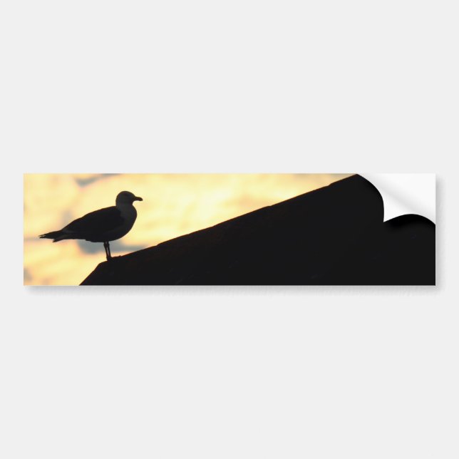 Adesivo Para Carro Sea Gull Sunset (Frente)