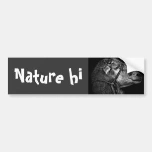 Adesivo Para Carro seguindo