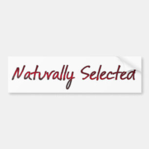 Adesivo Para Carro Selecionado naturalmente