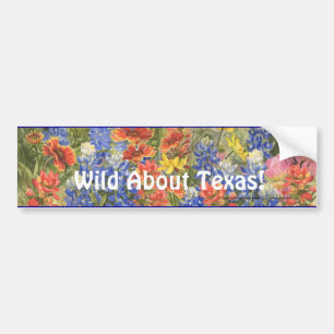 Adesivo Para Carro Selvagem sobre Texas! Autocolante no vidro