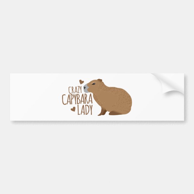 Adesivo Para Carro senhora louca do capybara (Frente)