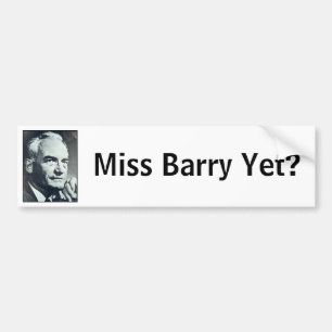 Adesivo Para Carro Senhorita Barry Ainda?