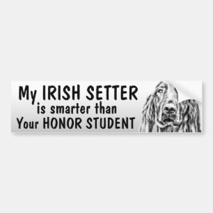 Adesivo Para Carro Setter irlandês - mais esperto do que o estudante