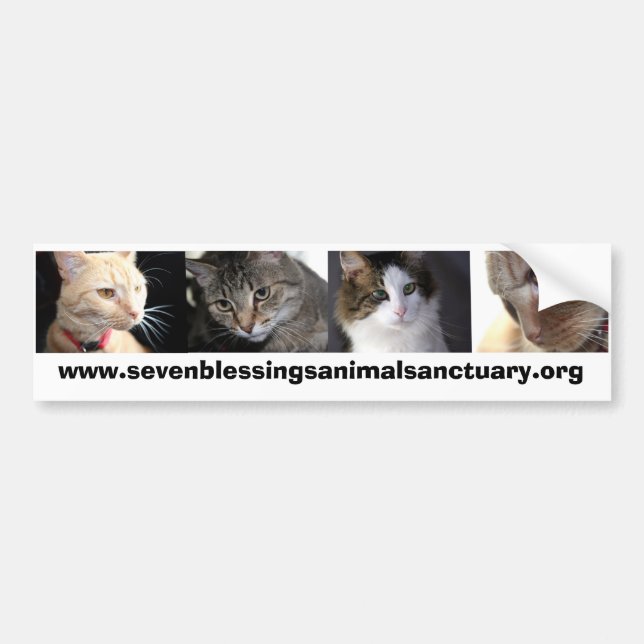 Adesivo Para Carro sevenblessingsanimalsanctuary.org (Frente)