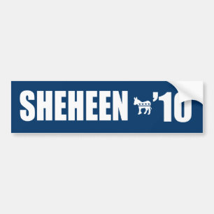 ADESIVO PARA CARRO SHEHEEN 2010