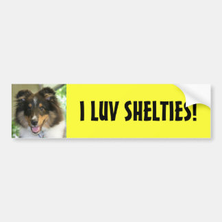 Adesivo Para Carro Sheltie, I LUV SHELTIES!