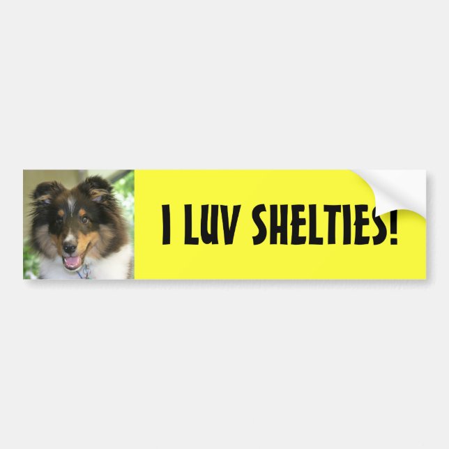 Adesivo Para Carro Sheltie, I LUV SHELTIES! (Frente)