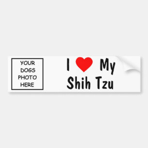 Adesivo Para Carro Shih Tzu