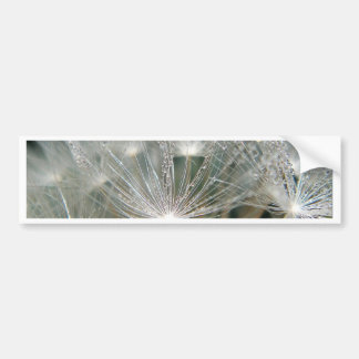 Adesivo Para Carro Shiny waterdrops on a white dandelion