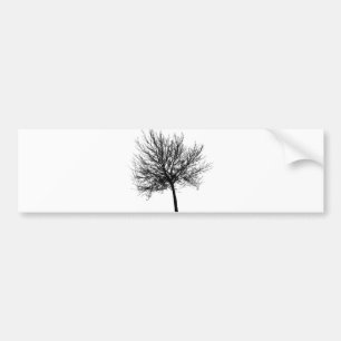 Adesivo Para Carro Silhouette de Árvore