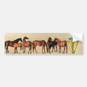 ADESIVO PARA CARRO SÍMBOLO VETERINÁRIO CADUCEUS DE CAVALOS/MARES E