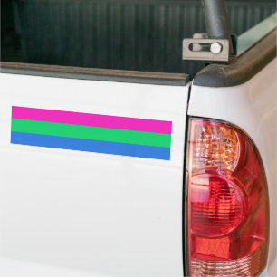Adesivo Para Carro Sinalizador do Orgulho Polisexual