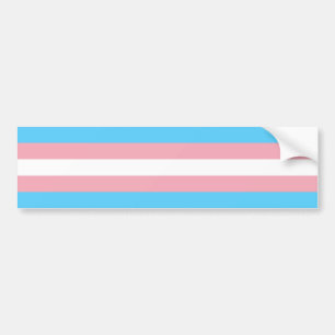 Adesivo Para Carro Sinalizador Trans Pride (Orgulho Transgênero)