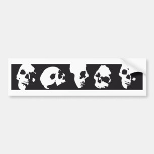 Adesivo Para Carro skull