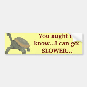 ADESIVO PARA CARRO SLOW DOWN?